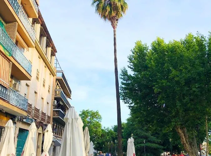 Entre Patios La Victoria *